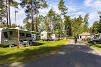 Camping Waldsee - Wohnwagenstellplätze auf grüner Wiese auf dem Campingplatz