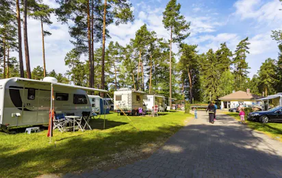 Camping Waldsee (Wallesau)