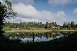 Wildwood Camping Harz - Blick auf den Fluss und die Standplätze am anderen Ufer
