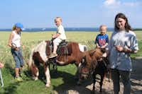 Camping Walkyrien  - Pony reiten auf dem Campingplatz