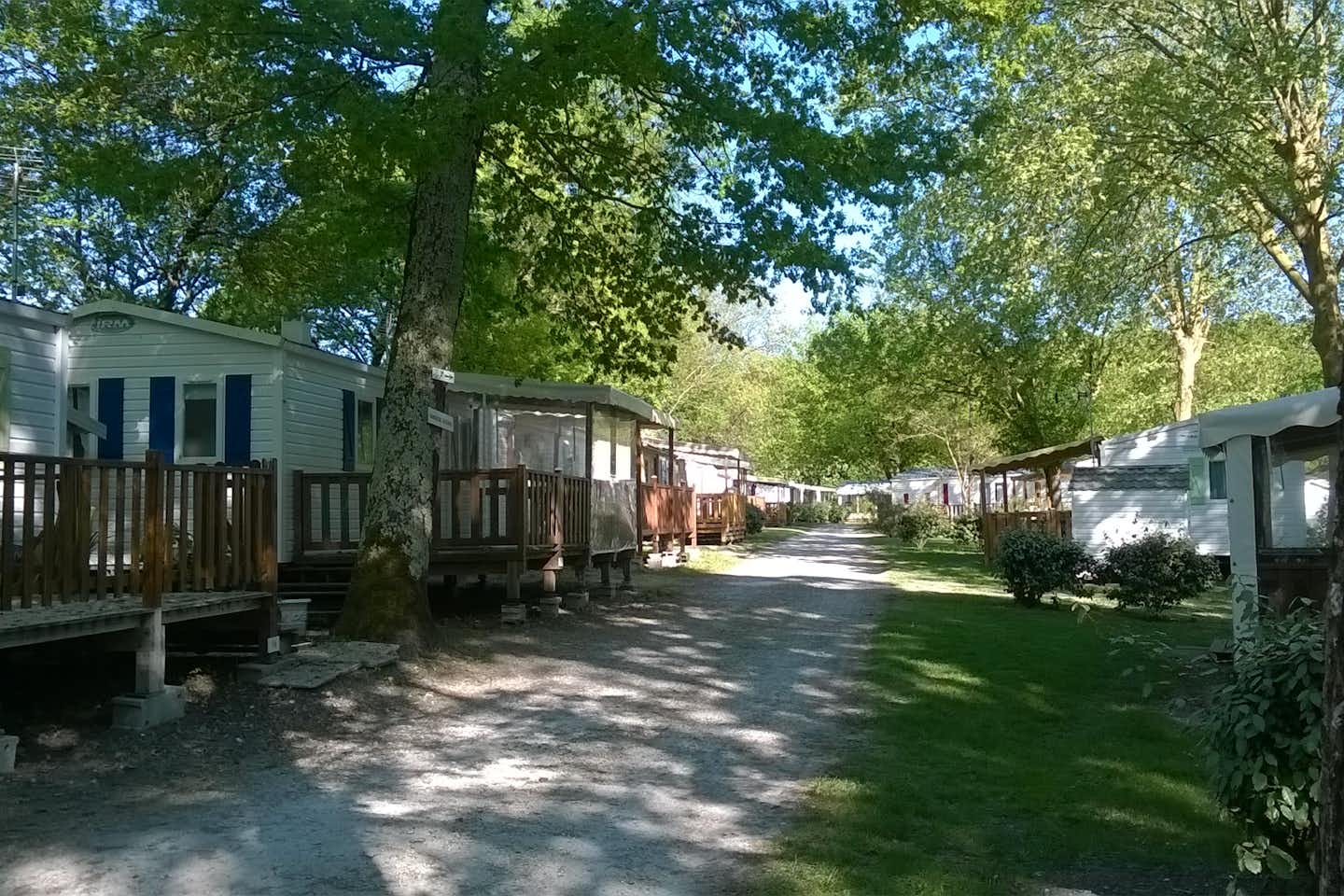 Camping Walmone - Allee auf dem Campingplatz mit Mobilheimen zu beiden Seiten