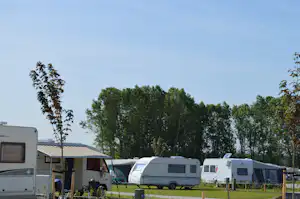 Wohnmobile auf dem Campingplatz, im Hintergrund eine Reihe hoher Bäume und ein hellblauer Himmel.
