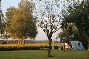 Camping Weideblik - Blick auf einen Standplatz auf der Wiese bei Sonnenuntergang