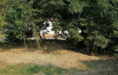 Camping Weides