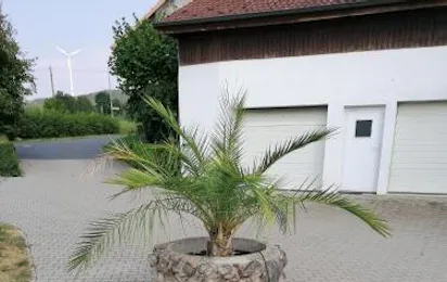 Camping Weides