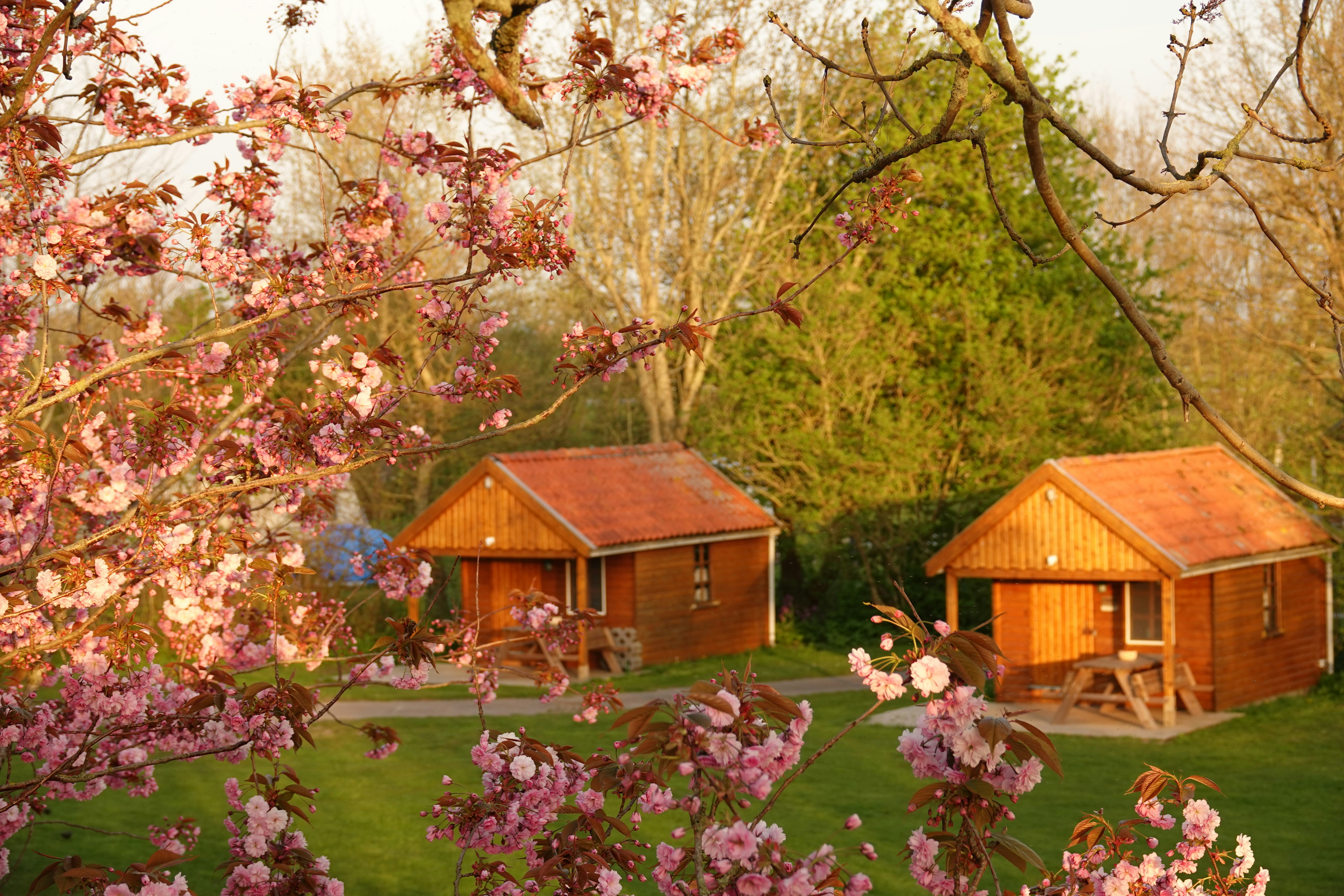Camping Welgelegen  - Mobilheime auf dem Campingplatz