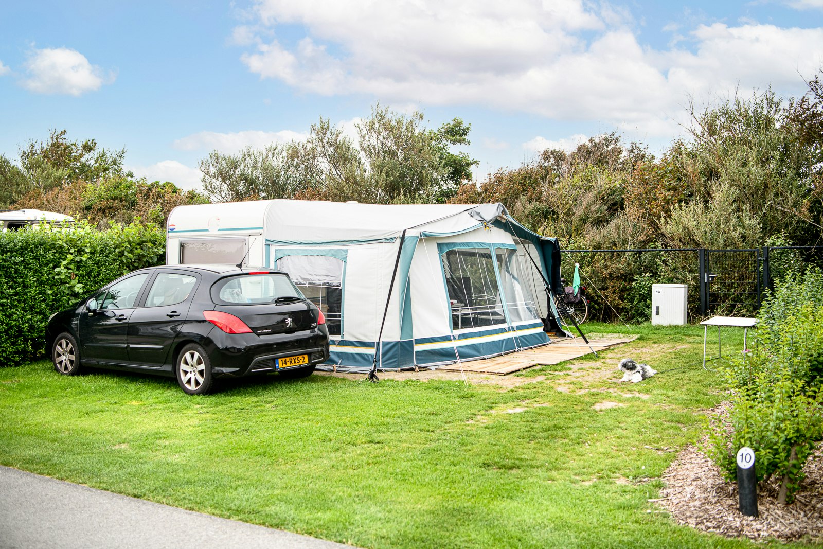 Camping Weltevreden - Blick auf einen Standplatz auf der Wiese