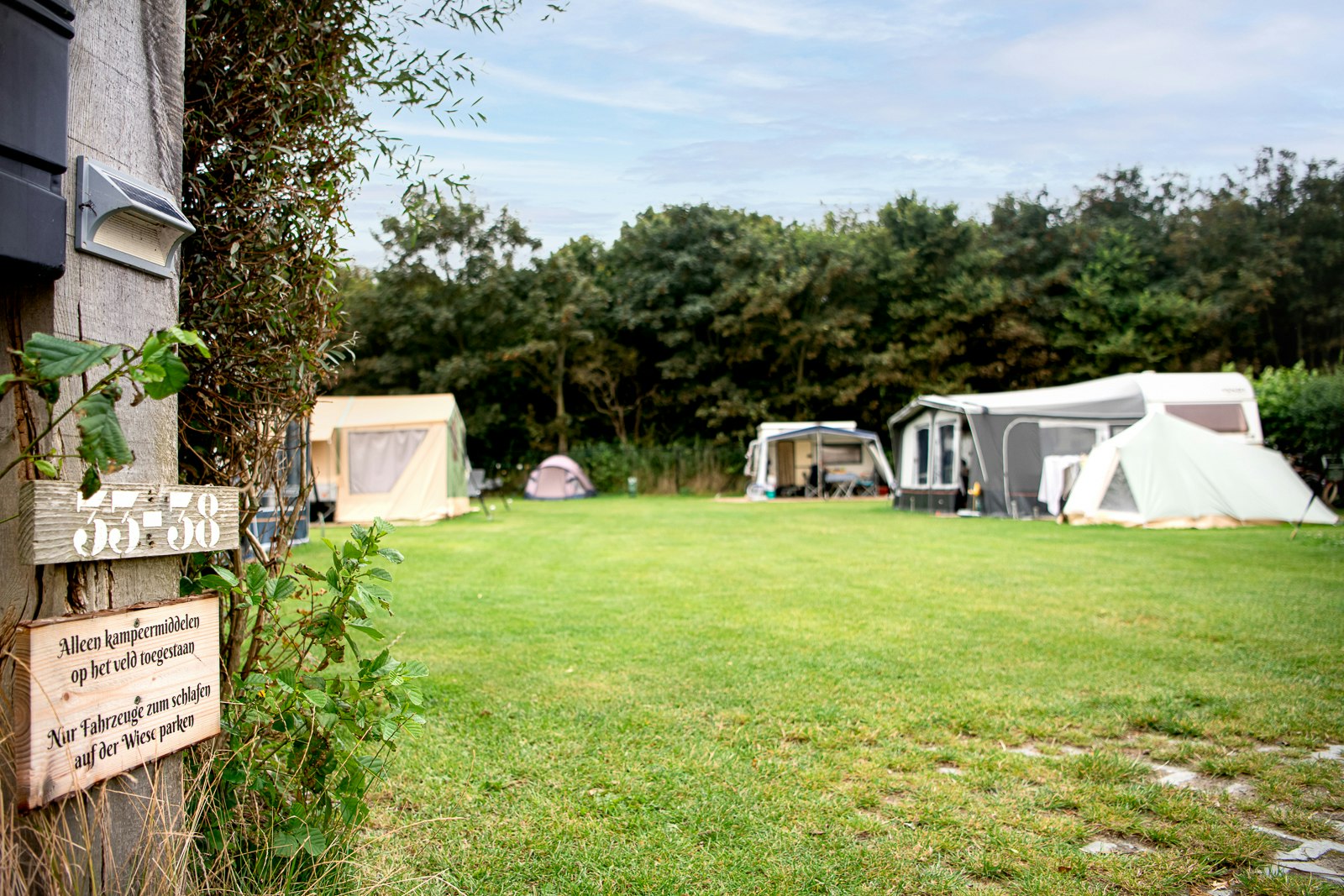 Camping Weltevreden - Standplatzwiese auf dem Campingplatz