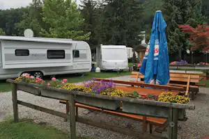 Wohnmobile auf dem Campingplatz, Blumenbeete und Holzbank im Vordergrund, im Hintergrund Bäume und weitere Fahrzeuge.