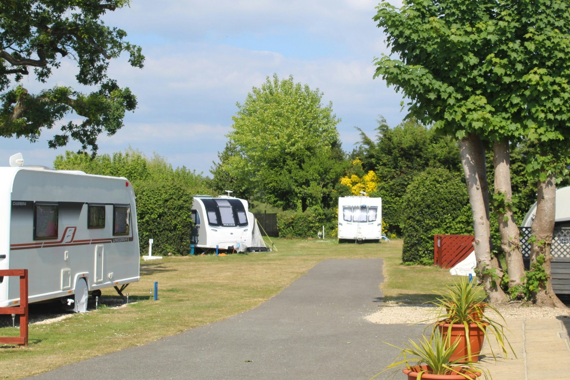 Whitemead Caravan Park  Camping Whitemead - Standplätze auf dem Campingplatz