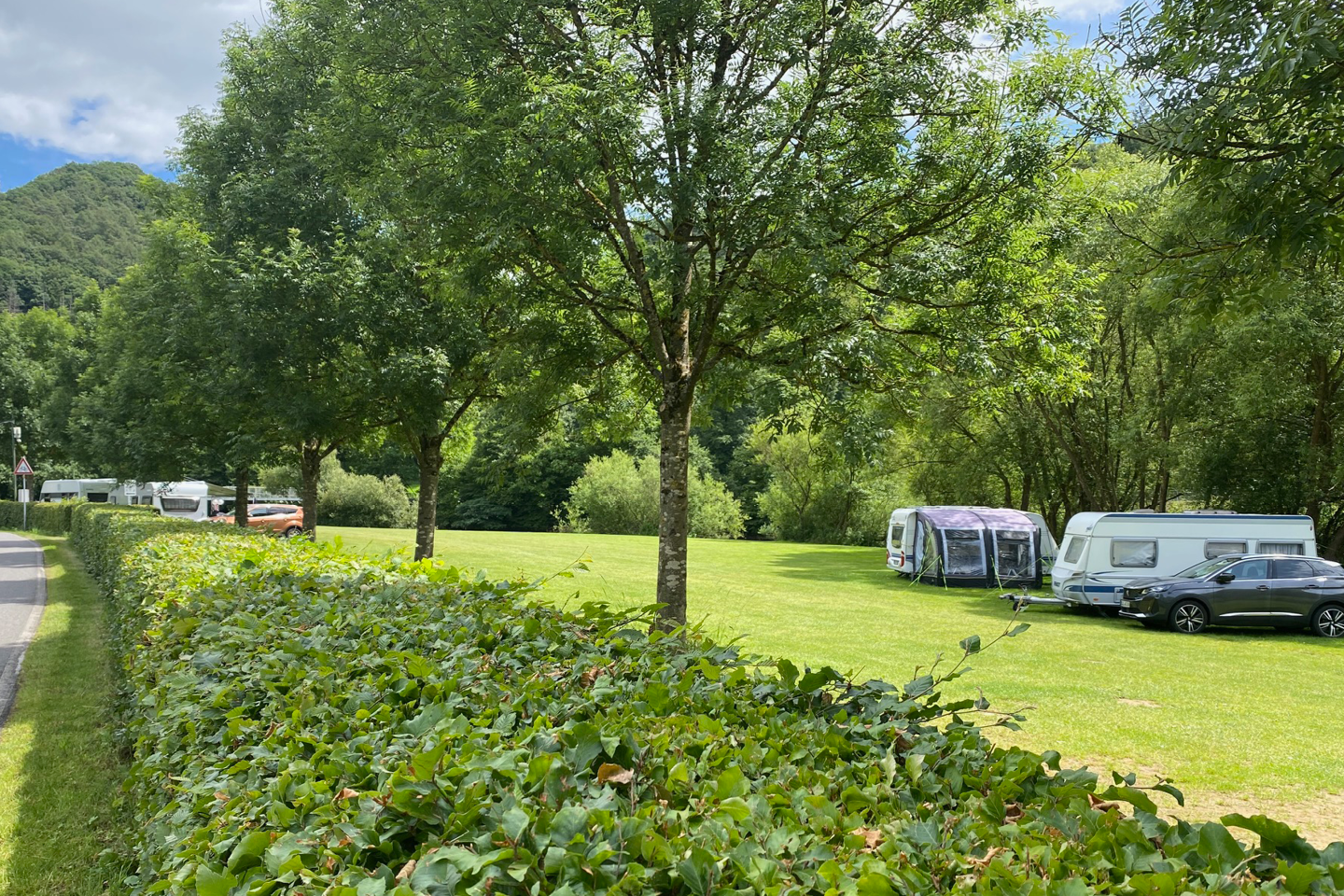 Wohnwagen und Campingbusse stehen auf einer grünen Wiese zwischen Bäumen, im Hintergrund ein bewaldeter Hügel.