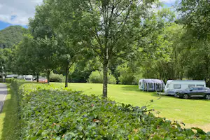 Wohnwagen und Campingbusse stehen auf einer grünen Wiese zwischen Bäumen, im Hintergrund ein bewaldeter Hügel.