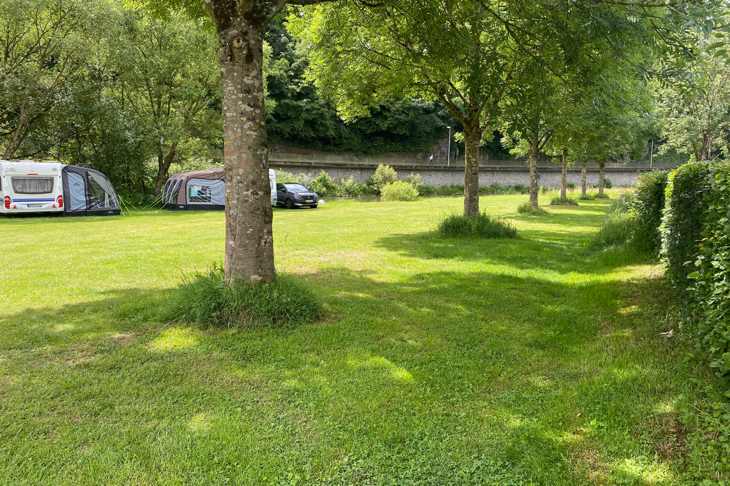 Grüne Campingwiese mit Bäumen, Wohnmobil und Wohnwagen am Rand, Hecke und geparkte Autos im Hintergrund.