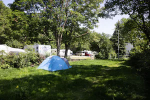 MICAMPA Wien Wienerwald - Zeltwiese auf dem Campingplatz