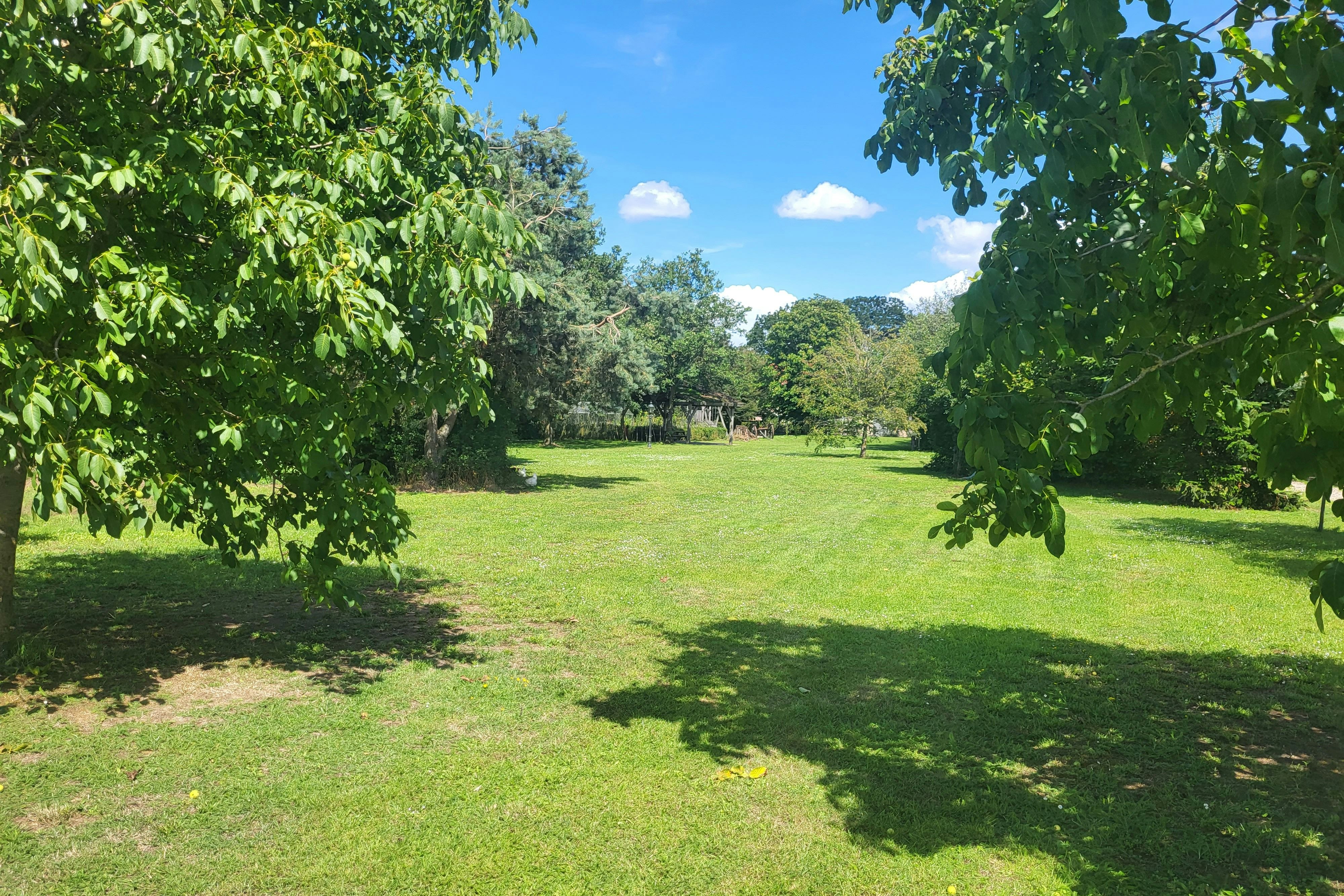 Camping Wijndomein Erve Wisselink - Standplätze auf dem Campingplatz