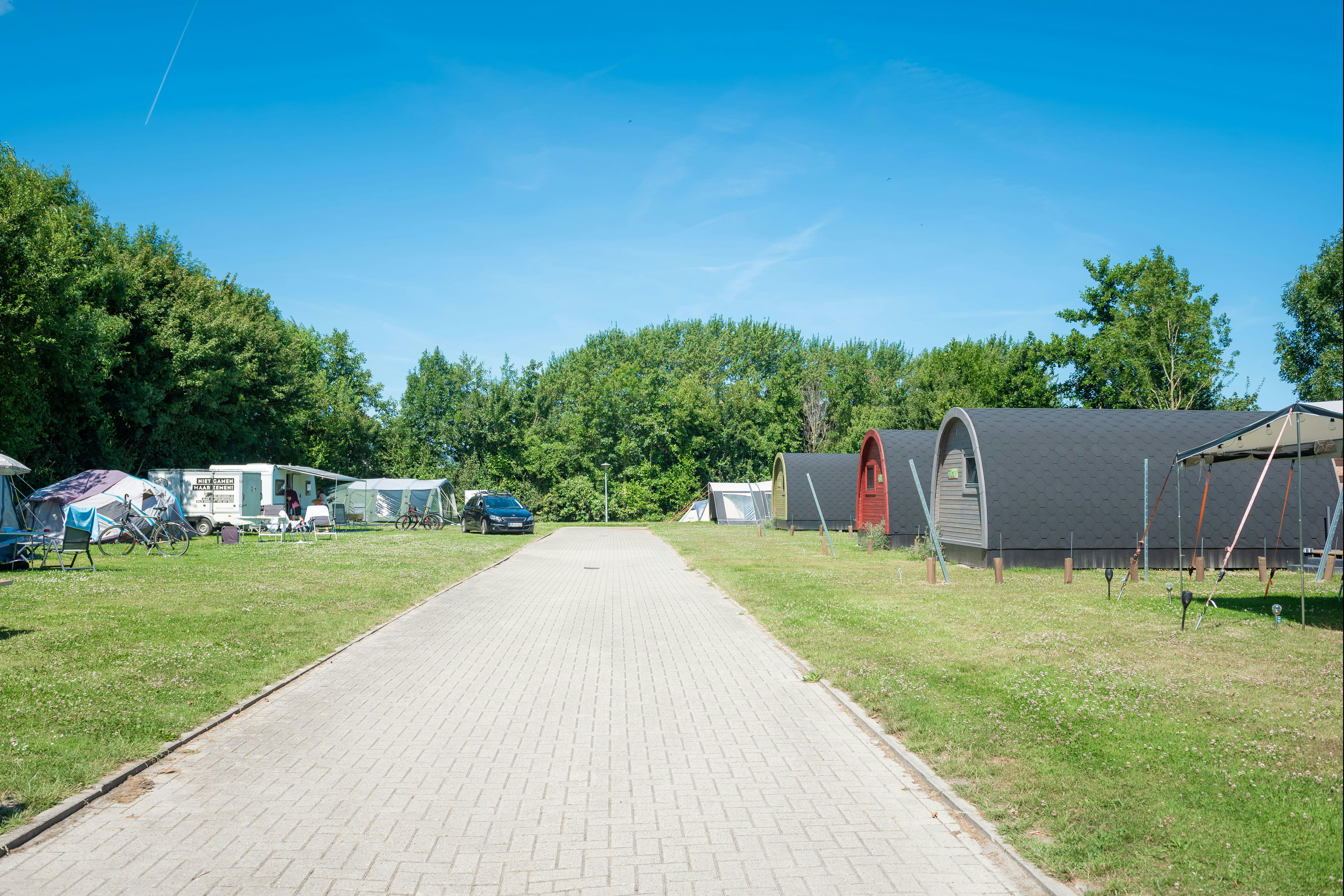 Camping Wijnhoeve De Kleine Schorre - Blick auf die Standplätze auf der Wiese