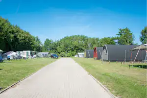 Camping Wijnhoeve De Kleine Schorre - Blick auf die Standplätze auf der Wiese