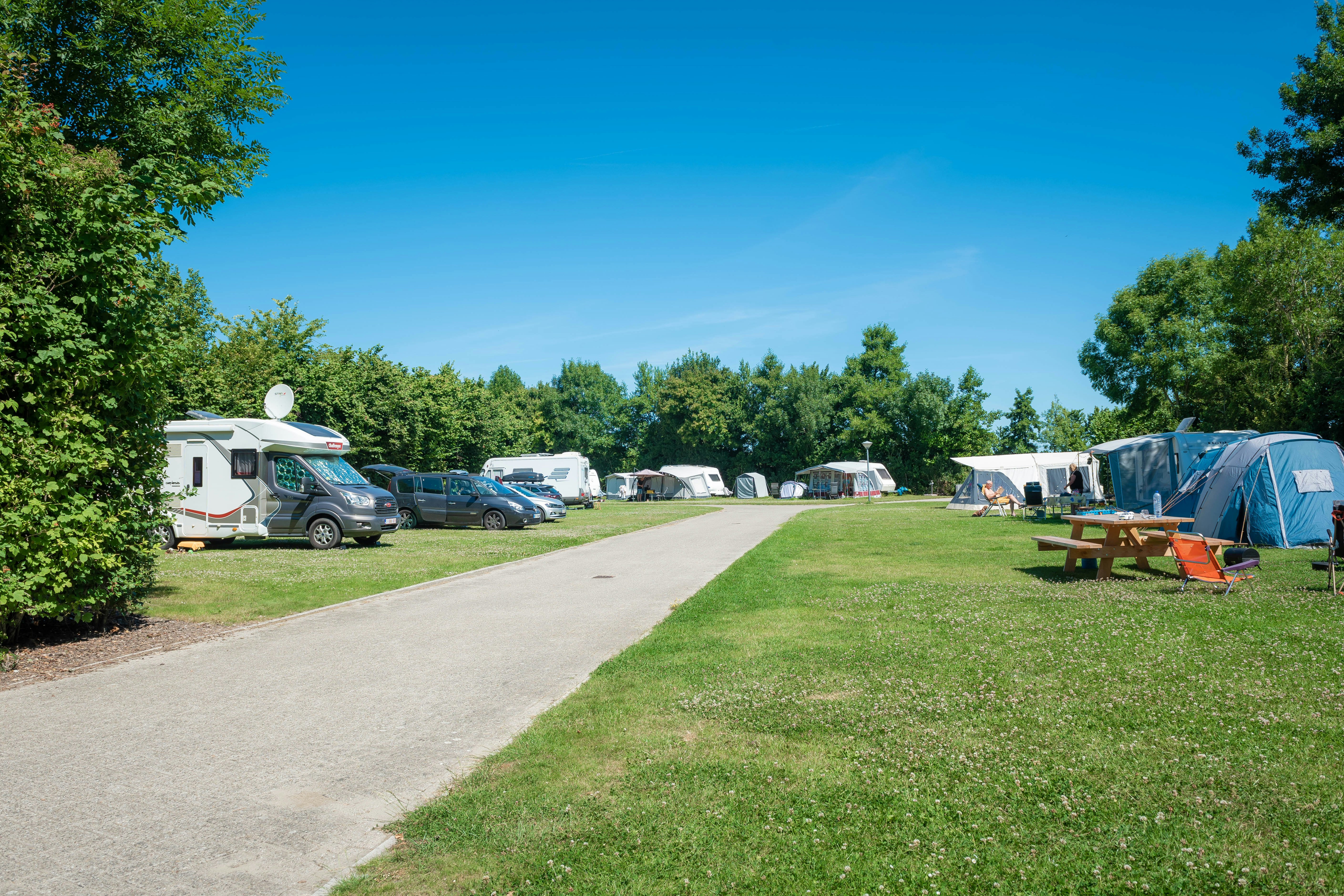 Camping Wijnhoeve De Kleine Schorre - Standplatzwiese auf dem Campingplatz