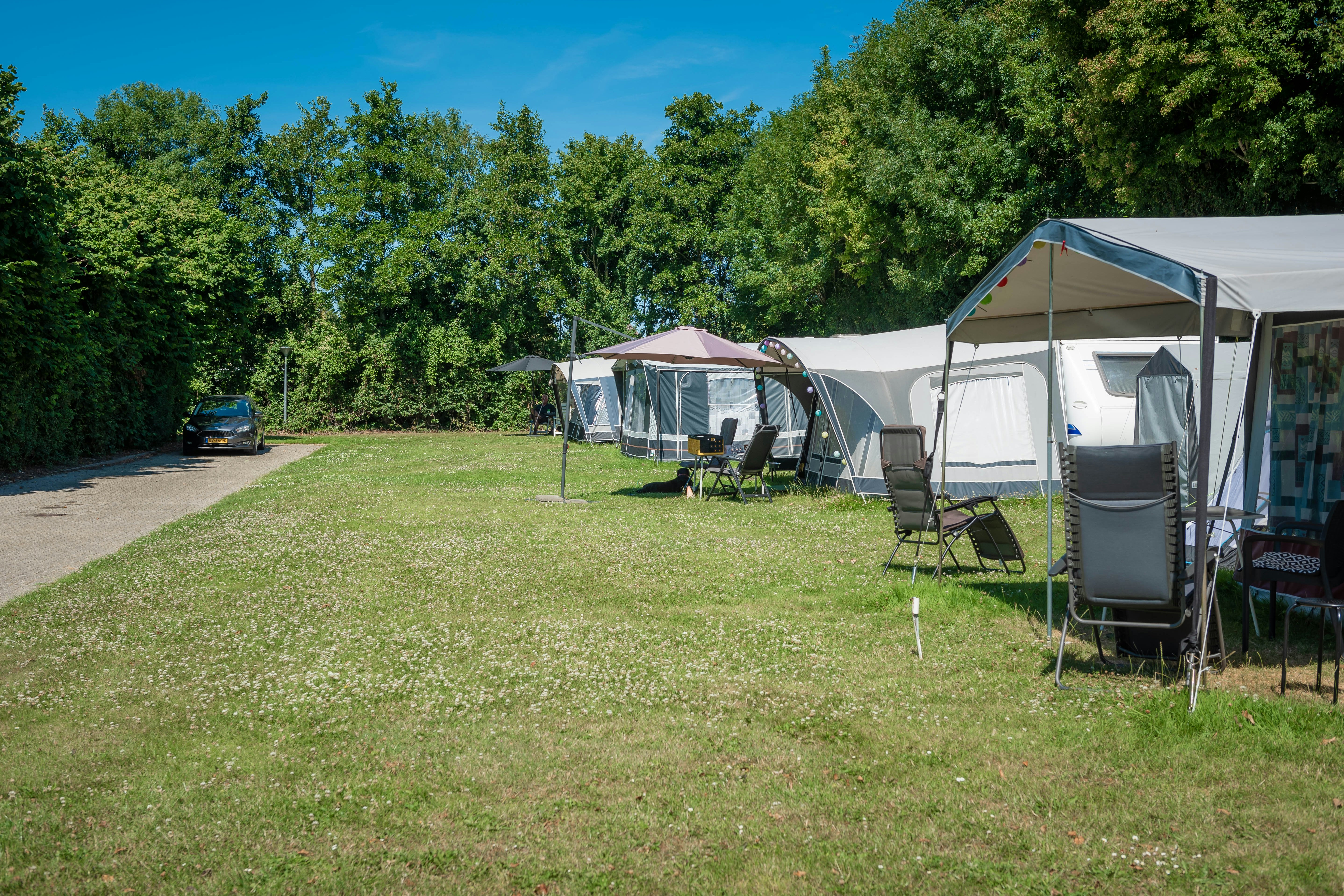 Camping Wijnhoeve De Kleine Schorre - Wohnmobil- und Wohnwagenstandplätze auf der Wiese