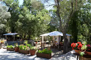 Camping-Terrasse mit Holztischen und Sonnenschirmen, umgeben von Bäumen und Pflanzkübeln mit Blumen.