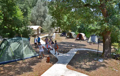 Camping Wild Nature