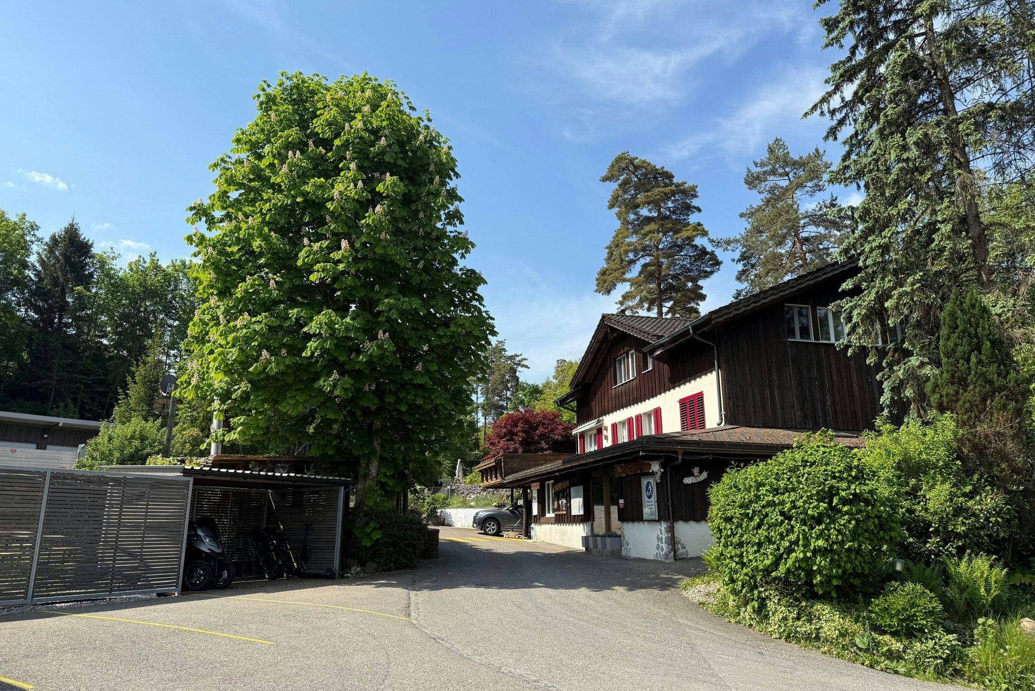 Camping Wildberg - Einfahrt und Hauptgebäude auf dem Campingplatz