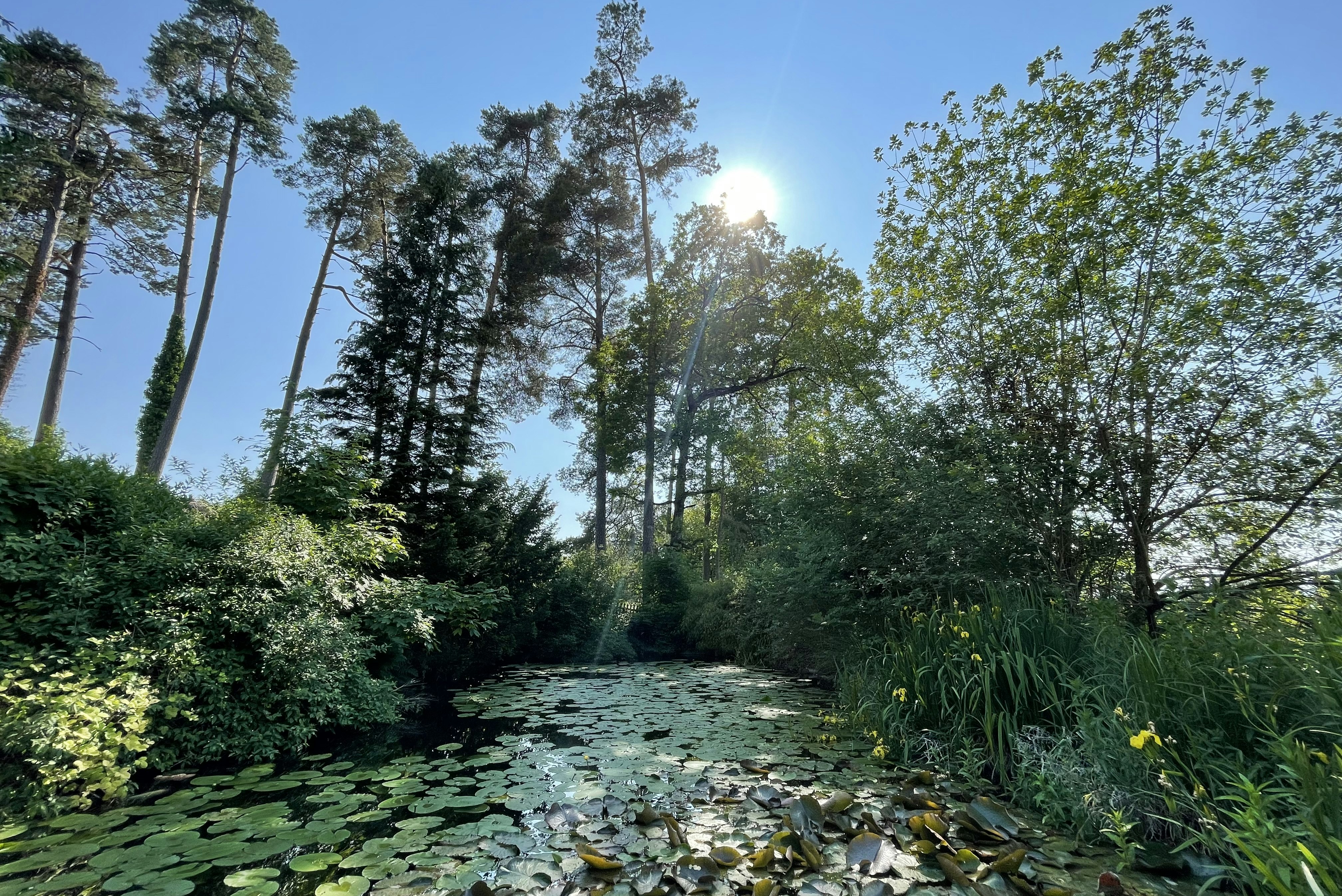Camping Wildberg - Fischteich auf dem Campingplatz