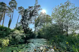 Camping Wildberg - Fischteich auf dem Campingplatz