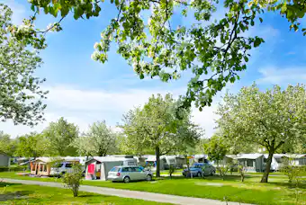 Wirthshof Resort