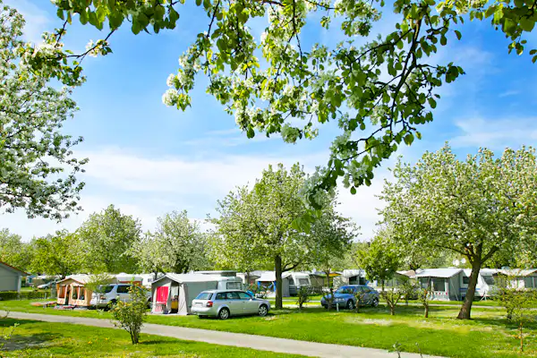 Wirthshof Resort