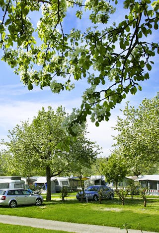 Wirthshof Camping & Hotel