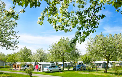 Wirthshof Resort
