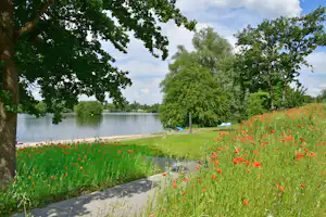 Grüner Park am See mit Blumenbeeten, gepflastertem Weg und Bäumen am Ufer, im Hintergrund Zelte.