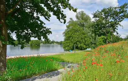 CampingPark Wissmarer See