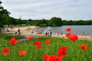 Blumen im Vordergrund, am See ein Strand mit Liegen und Menschen beim Baden, im Hintergrund Zelte und Wohnwagen.