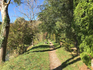 Camping Wolfratshausen - Weg am See.jpg