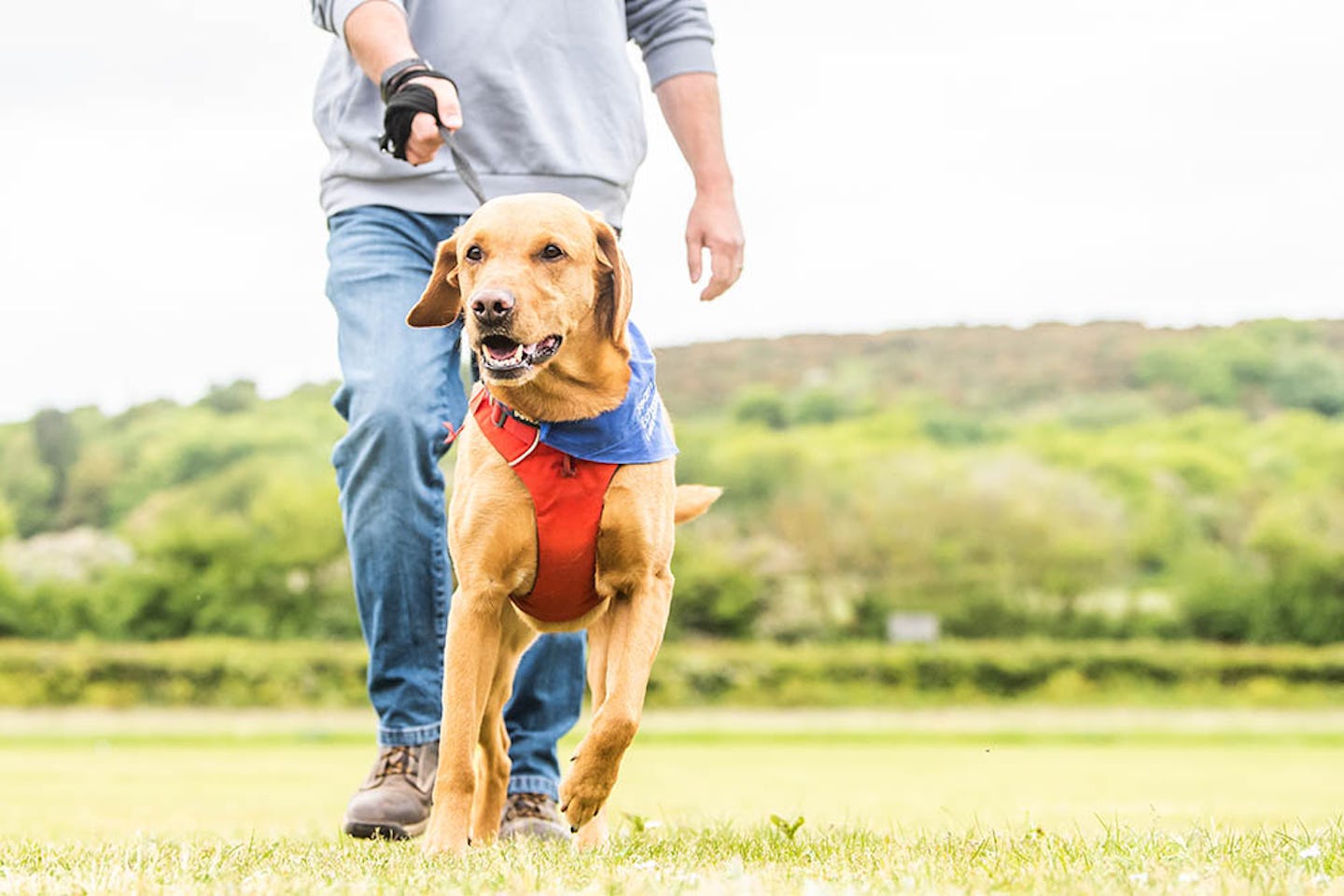 Camping Woodhill Park