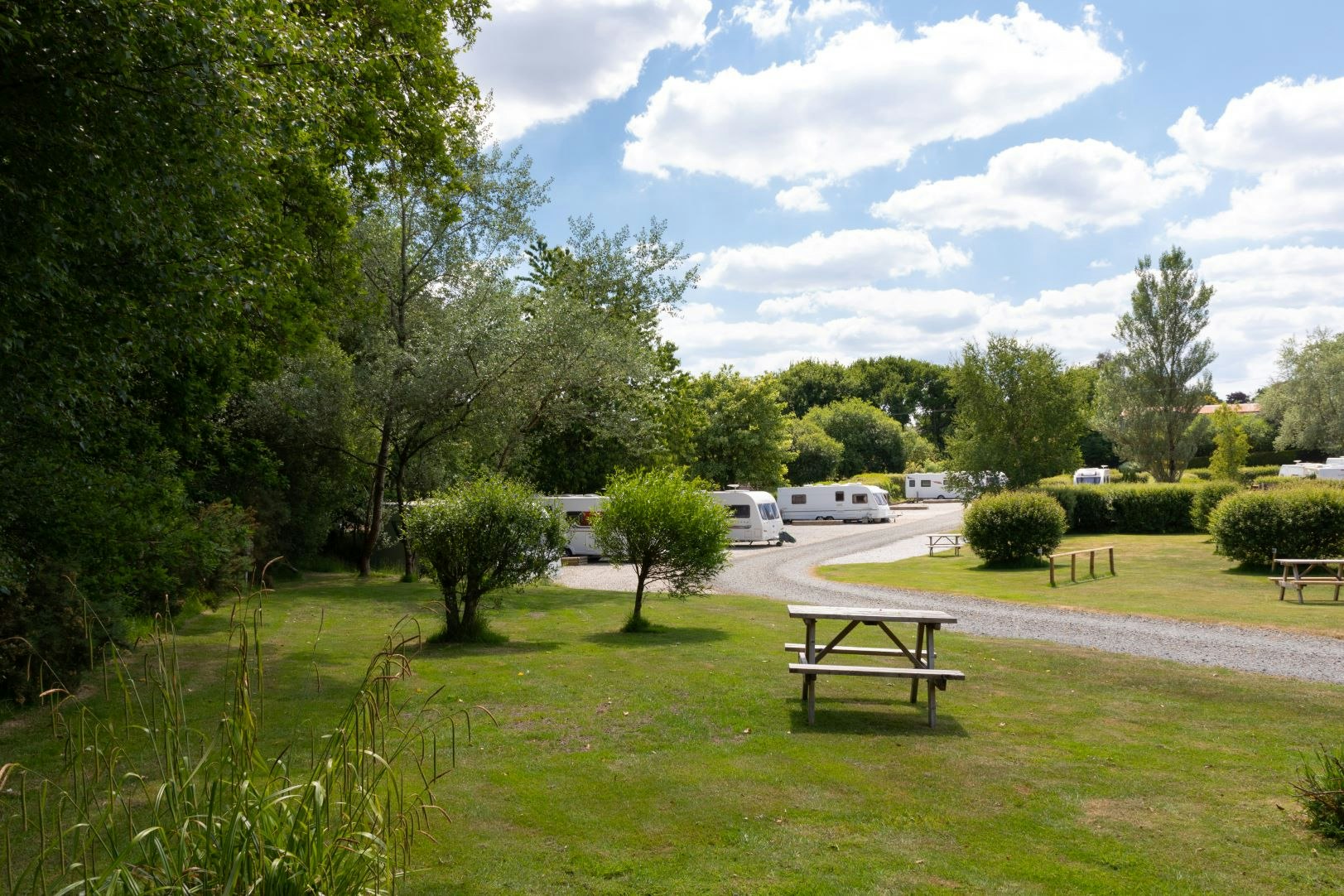 Camping Woodland Springs Touring Park