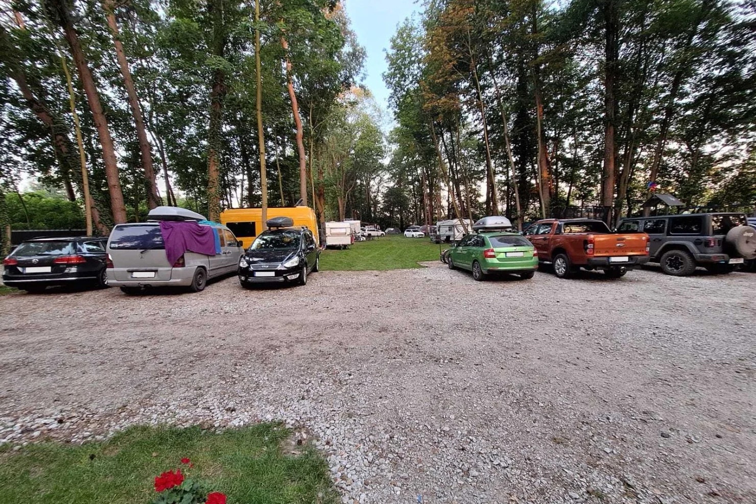 Camping Zakatek Izabela - Standplätze auf dem Campingplatz