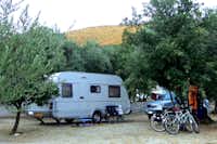 Camping Zakono  -  Wohnmobil auf dem Campingplatz zwischen Bäumen
