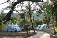 Camping Zakono  -  Wohnwagenstellplatz vom Campingplatz zwischen Bäumen