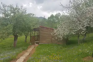 Camping Zamolxe -Außenansicht des Mobilheims