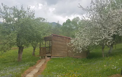 Camping Zamolxe