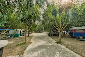 Campingplatz-Allee mit Bäumen, Zelt und Wohnwagen am Weg, Sitzgelegenheiten und Fahrzeuge seitlich.