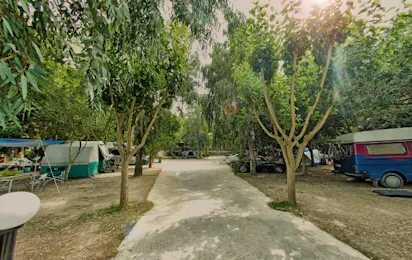 Camping Zante
