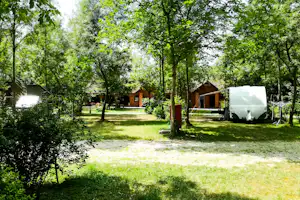 Camping Zasavica - Wohnwagen- und Zeltstellplatz vom Campingplatz