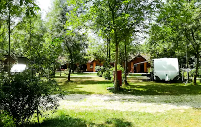 Camping Zasavica