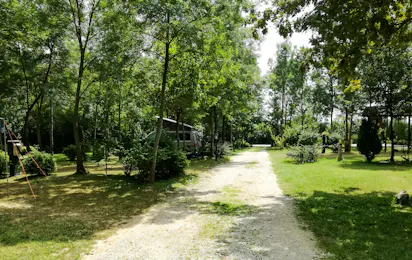 Camping Zasavica