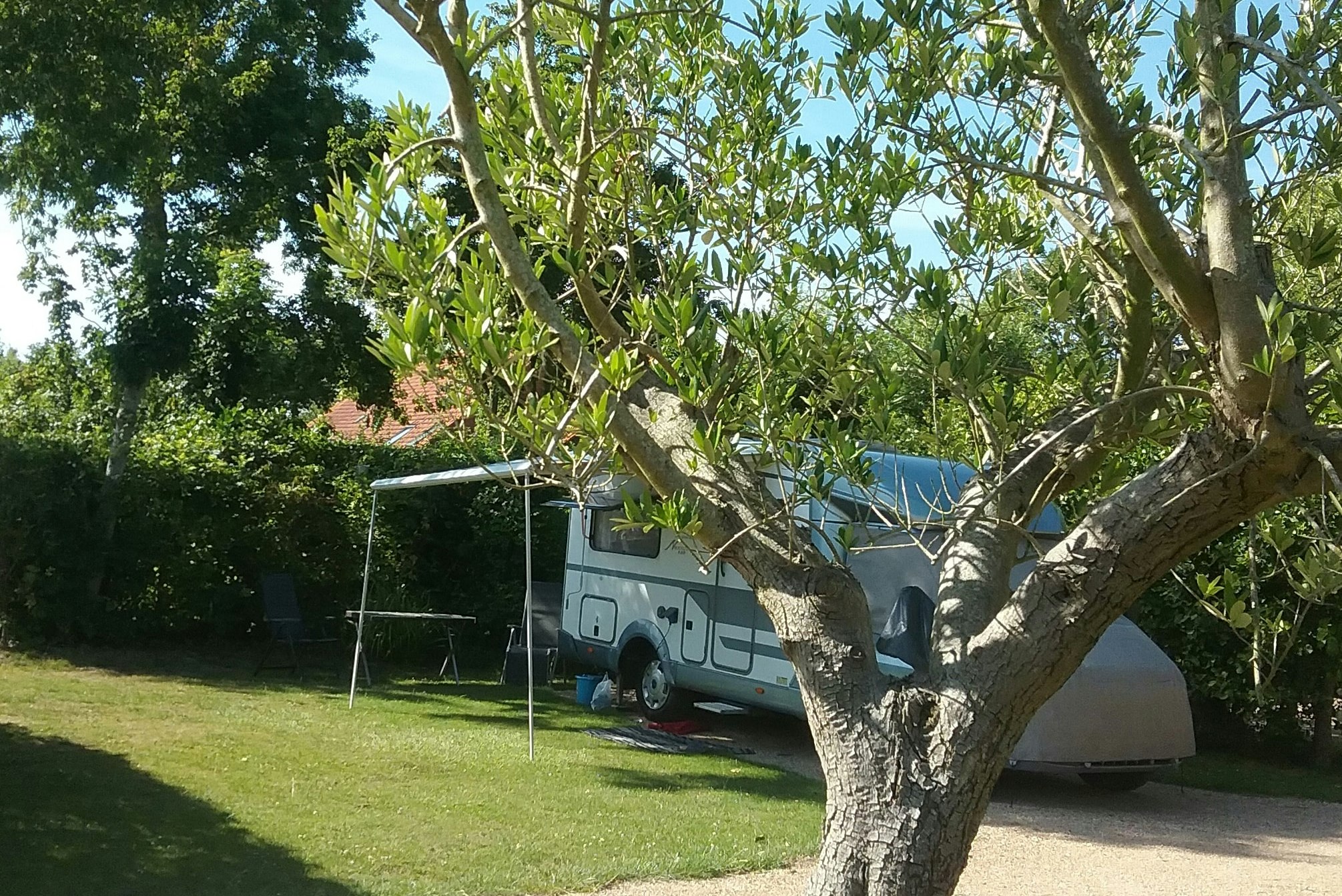 Camping Zeeuwse Landhoeve - Standplätze im Grünen auf dem Campingplatz