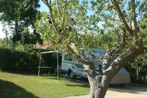 Camping Zeeuwse Landhoeve - Standplätze im Grünen auf dem Campingplatz